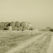 Untitled 3